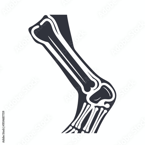 A single black and white bone piece showcases detailed anatomical contours over a clear backdrop