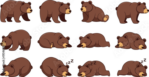 Cute Cartoon Brown Bear Character Set with Different Poses Including Walking Sitting Sleeping and Snoring Wild Animal Grizzly Vector Illustration