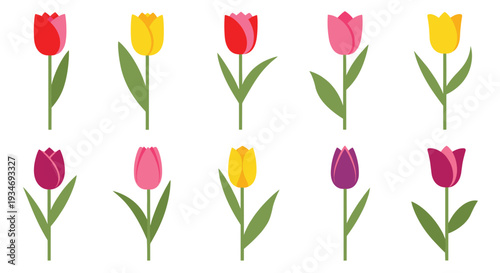 Ten vibrantly colored, stylized tulip flowers with green stems are neatly arranged in two rows against a pristine white background.