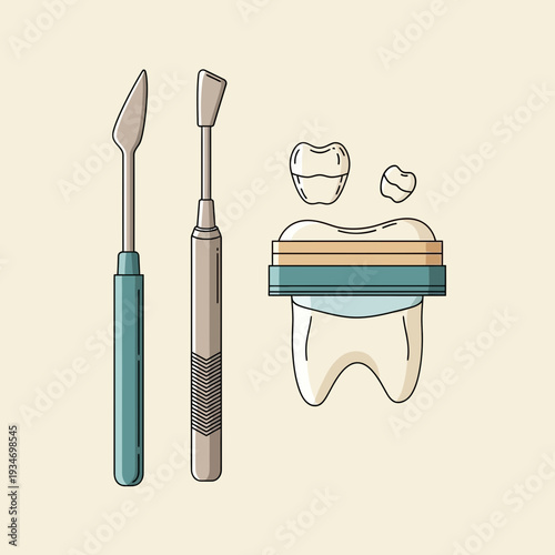 Dental Instruments And Tooth Anatomy Depicted In Minimalistic Style With Clear Outlines