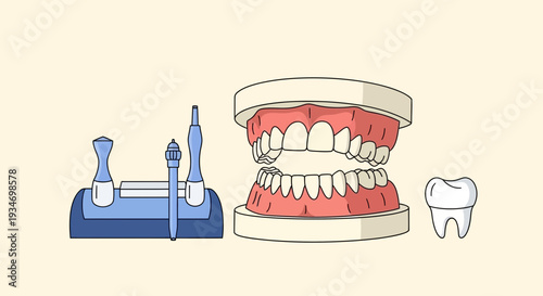 Dental Instruments And Teeth Set Illustration For Oral Health And Dentistry Practices