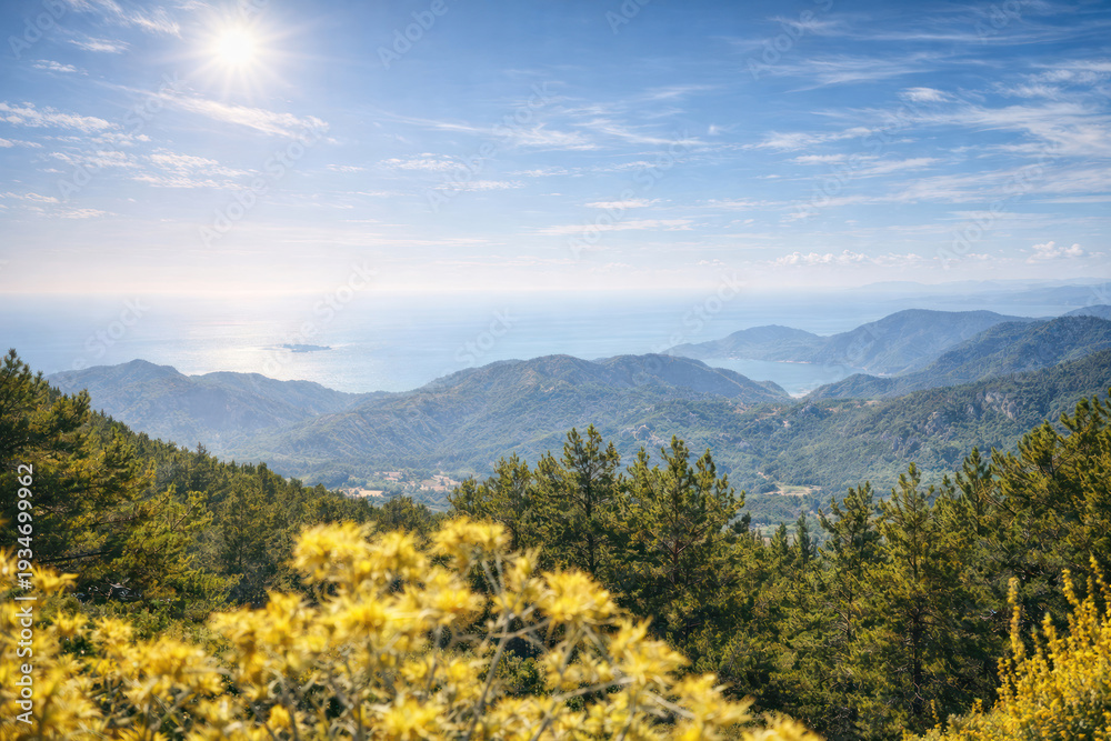 Fototapeta premium A panoramic view of a mountain landscape with green hills and a seashore under bright sunshine. materials.