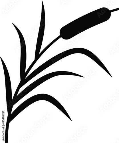 silhouette cattail plant with long leaves and fluffy seed head vector design