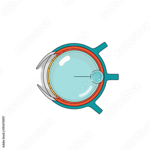 Detailed Anatomical Illustration of The Human Eye Demonstrating Its Internal Structures Clearly