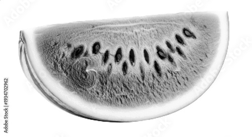 Vector Halftone Watermelon Slice Fresh Fruit Illustration