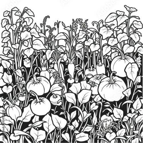 An overgrown vegetable garden with weeds among the produce, authentic imperfect home growing, still abundant