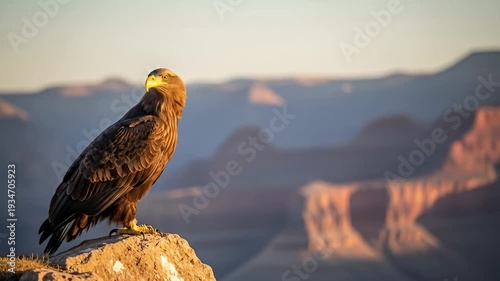 An eagle perched on a cliff overlooking the Grand Canyon at sunset.