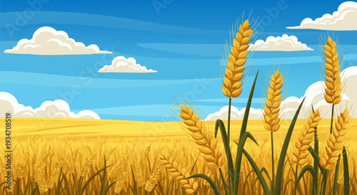 Golden Wheat Field Vector Illustration Under a Blue Sky with Clouds, Representing Agriculture and Harvest