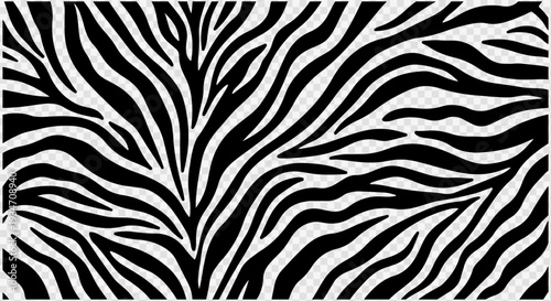 Black and white zebra print seamless pattern vector