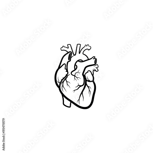 Detailed Anatomical Illustration of Human Heart.