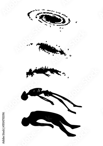 Evolution of a Mosquito Lifecycle Illustration