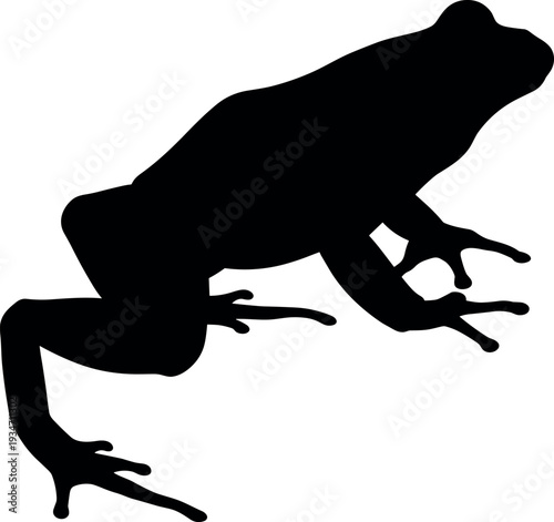 silhouette of a frog in a crouching position