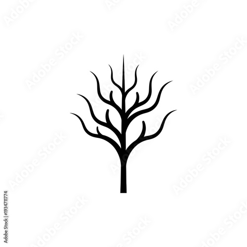 Black silhouette of a bare tree.