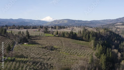 Aerial drone footage of widespread fruit orchards in the American West.