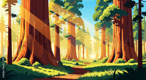 Vibrant Vector Illustration of a Sunlit Redwood Forest Path with Towering Trees