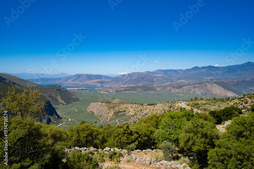 High-Angle Panoramic Vista of the Sacred Olive Groves in the Crissaean Plain and the Gulf of Corinth, Greece