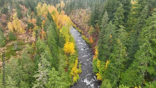 Aerial drone clip over and evergreen forest and river in the American West.