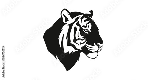 Fotografia Black and white tiger head portrait.