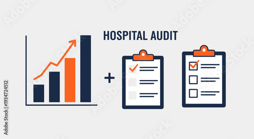 Hospital Audit: Graph, Checklists and Boost for Health Care System Performance