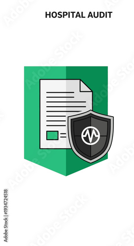 Hospital Audit: Protecting Healthcare Records with Security and Information Integrity