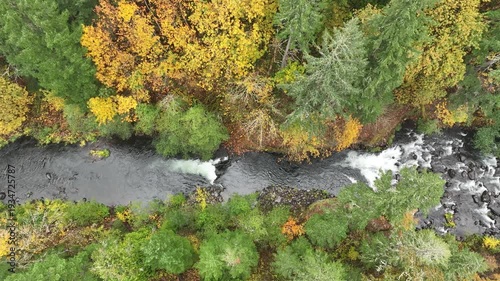 Aerial drone clip over and evergreen forest and river in the American West.
