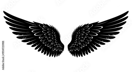 Pair of black feathered angel wings spread wide.