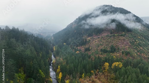 Aerial drone clip over and evergreen forest and river in the American West.