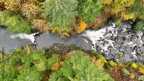 Aerial drone clip over and evergreen forest and river in the American West.