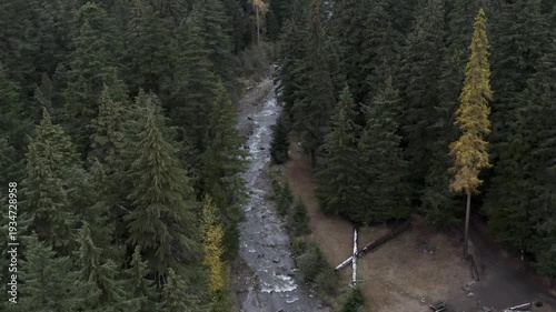 Aerial drone clip over and evergreen forest and river in the American West.