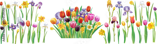 Editable Vector Spring Flower Composition with Separate Tulip Iris Daffodil Elements