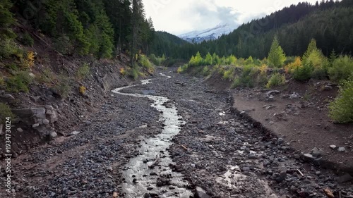 Aerial drone clip over and evergreen forest and river in the American West.