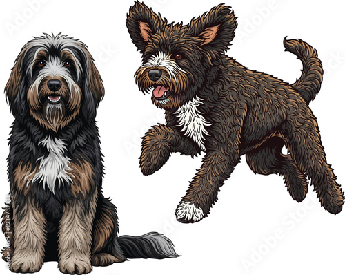 Barbet dog running energetic sitting upright pose set illustration