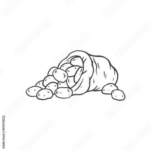Hand drawn sack of potatoes. Potato in sketch style for packaging and prints, for store. Engraved farm potatoes in burlap sack, bunch. Harvested root crops. Food vector illustration