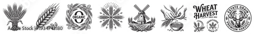 wheat and grain vector icon set, agriculture harvest organic farm cereal barley rye badges and windmill emblems isolated on transparent background