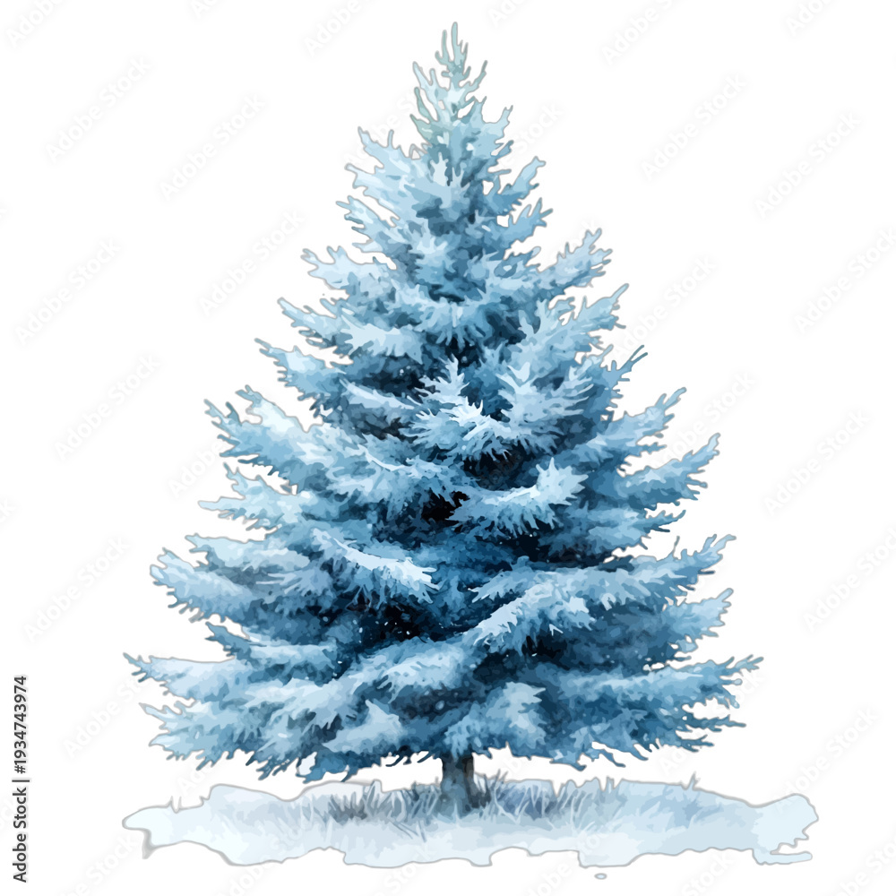 Obraz premium Blue watercolor spruce tree with snow in winter forest landscape