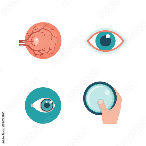 Illustrated Anatomy Of The Human Eye And Related Optical Instruments Vector Illustration