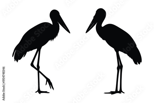 Graceful Stork Birds Silhouettes: Wading Wildlife and Avian Species Vector