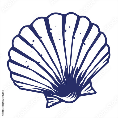 Nautical design of a shell