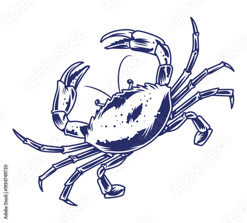 Crab on a nautical theme