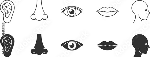Human senses line and solid icons set, ear nose eye lips and face profile vector isolated on white background