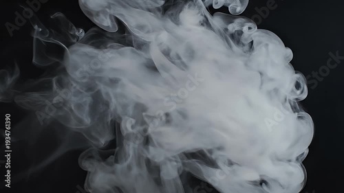 Wallpaper Mural Wisps of white vapor swirl and billow against a stark black background Torontodigital.ca