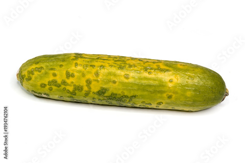 Obraz na płótnie Wilted Cucumber - Spoiled Produce, Decay, Edible Waste, and Kitchen Hygiene