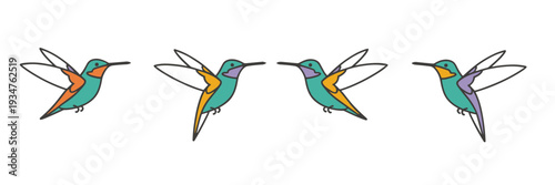 Four Hummingbirds in Flight on White Background illustration
