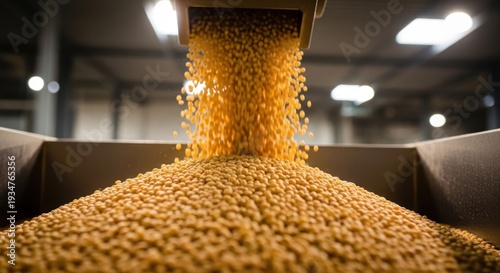 Grains cascade from overhead chute into a large industrial bin