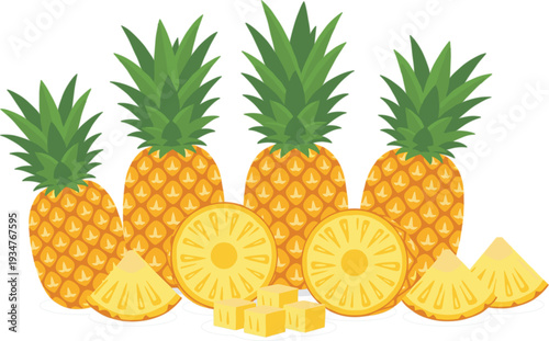 Ripe pineapple group with sliced pieces and chunks fresh tropical fruit vector illustration