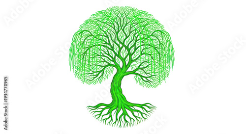 Vibrant green weeping willow tree illustration with visible roots on white background
