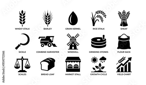 Agricultural icons: wheat, barley, rice, and farming tools collection