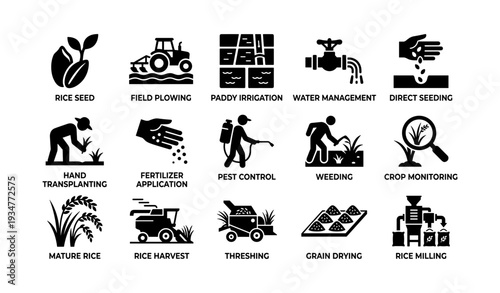 Rice cultivation icons: seed to milling process