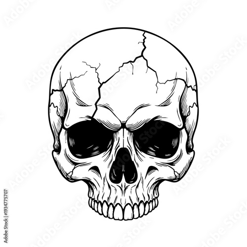Cracked human skull illustration with dark eye sockets.