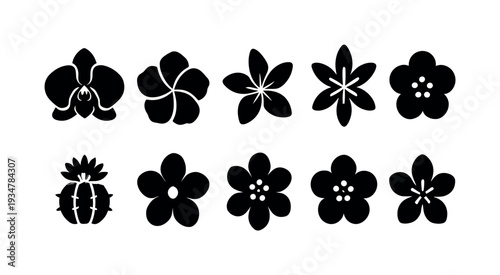 Weather, forecast linear icon set. meteorology and climate outline icons collection